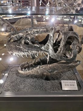 福井県立恐竜博物館に投稿された画像（2024/4/8）