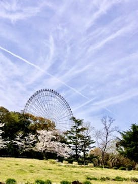 万博記念公園に投稿された画像（2024/4/8）