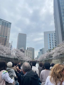 東京ウォータウェイズに投稿された画像（2024/4/8）