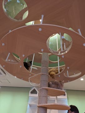 つくばわんわんランドに投稿された画像（2024/4/7）