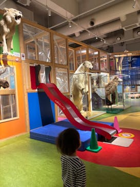 国立科学博物館に投稿された画像（2024/4/8）