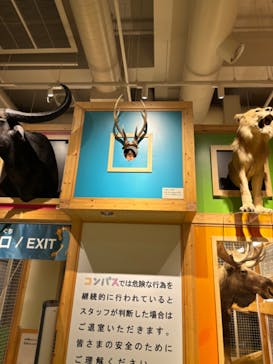 国立科学博物館に投稿された画像（2024/4/8）