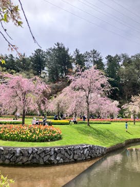 浜名湖花博2024に投稿された画像（2024/4/8）