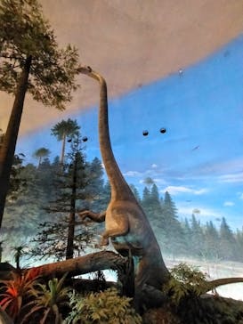 福井県立恐竜博物館に投稿された画像（2024/4/8）