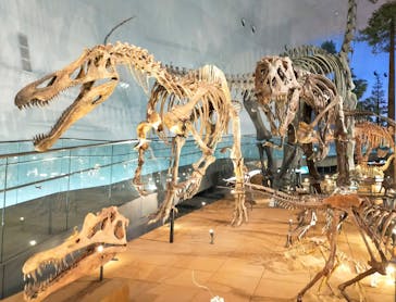 福井県立恐竜博物館に投稿された画像（2024/4/8）