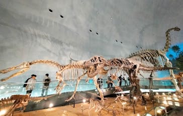 福井県立恐竜博物館に投稿された画像（2024/4/8）