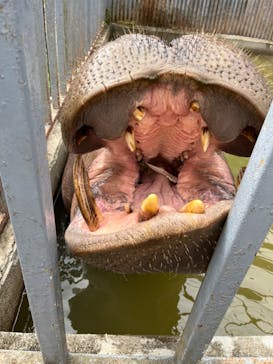 宇都宮動物園に投稿された画像（2024/4/8）