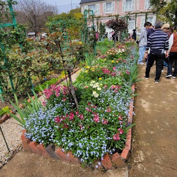 浜名湖花博2024に投稿された画像（2024/4/8）