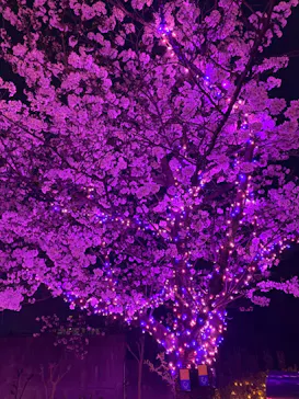 ひらかたパークに投稿された画像（2024/4/8）