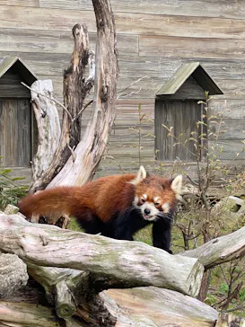 ひらかたパークに投稿された画像（2024/4/8）