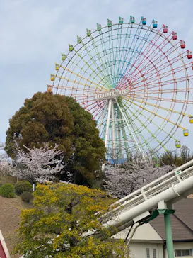 ひらかたパークに投稿された画像（2024/4/8）