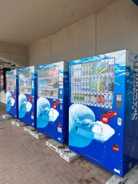 鴨川シーワールドに投稿された画像（2024/4/8）