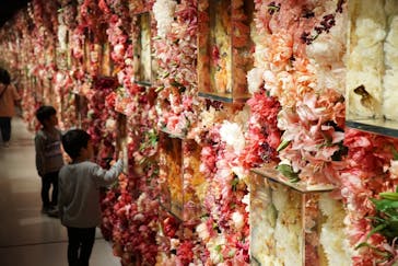 NARA KINGYO MUSEUMに投稿された画像（2024/4/8）