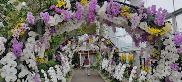 浜名湖花博2024に投稿された画像（2024/4/8）