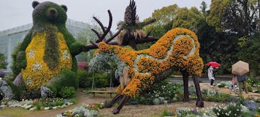 浜名湖花博2024に投稿された画像（2024/4/8）