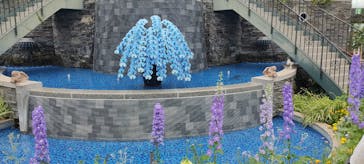 浜名湖花博2024に投稿された画像（2024/4/8）