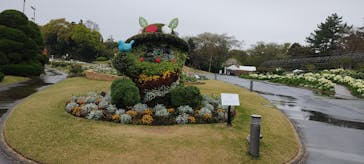 浜名湖花博2024に投稿された画像（2024/4/8）