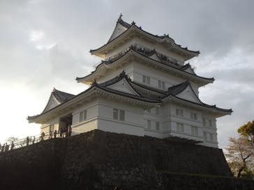 小田原城に投稿された画像（2024/4/8）