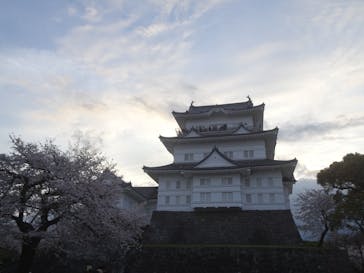 小田原城に投稿された画像（2024/4/8）
