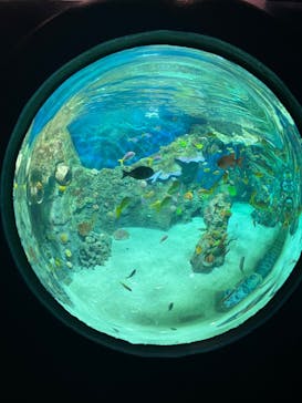 レゴランドⓇ・ジャパン・リゾートに投稿された画像（2024/4/8）