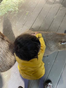 カワスイ 川崎⽔族館に投稿された画像（2024/4/8）