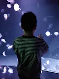 サンシャイン水族館に投稿された画像（2024/4/8）