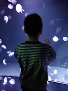 サンシャイン水族館に投稿された画像（2024/4/8）