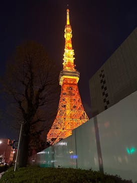 東京タワーに投稿された画像（2024/4/8）