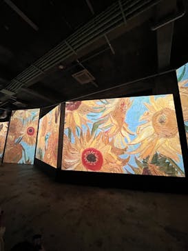 ゴッホ・アライブに投稿された画像（2024/4/8）