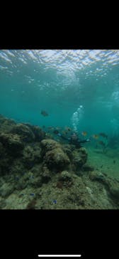 武藤潜水に投稿された画像（2024/4/9）