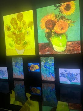 親愛なる友 フィンセント〜動くゴッホ展（福岡市科学館）に投稿された画像（2024/4/9）