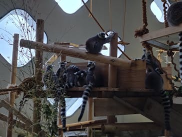 NIFREL（ニフレル）に投稿された画像（2024/4/9）