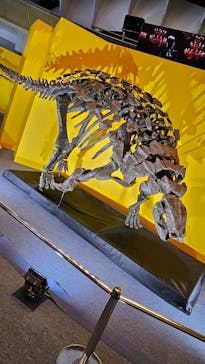 オダイバ恐竜博覧会2024 -福井から“ヤツラ”が新幹線でやってくる！-に投稿された画像（2024/4/9）