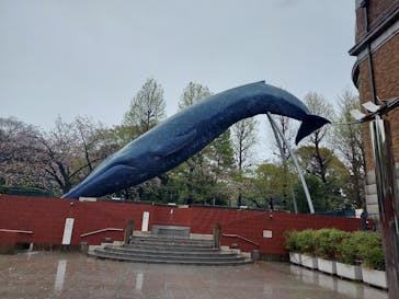 特別展「大哺乳類展３－わけてつなげて大行進」に投稿された画像（2024/4/9）