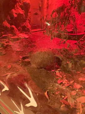 天王寺動物園に投稿された画像（2024/4/9）