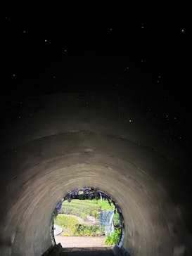 浜名湖花博2024に投稿された画像（2024/4/9）