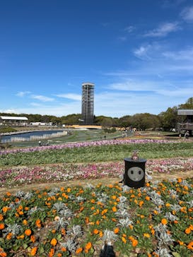 浜名湖花博2024に投稿された画像（2024/4/9）