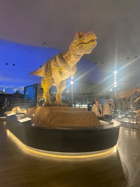 福井県立恐竜博物館に投稿された画像（2024/4/9）