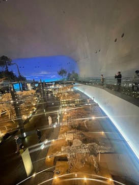 福井県立恐竜博物館に投稿された画像（2024/4/9）