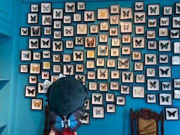 異人館うろこグループに投稿された画像（2024/4/9）