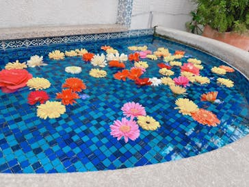 浜名湖花博2024に投稿された画像（2024/4/9）