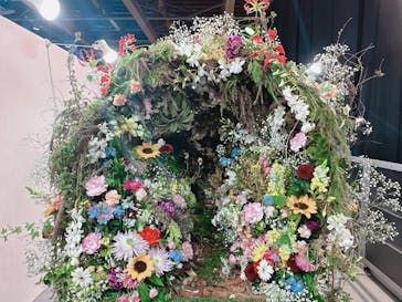 浜名湖花博2024に投稿された画像（2024/4/9）