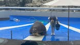 大分マリーンパレス水族館 「うみたまご」に投稿された画像（2024/4/9）