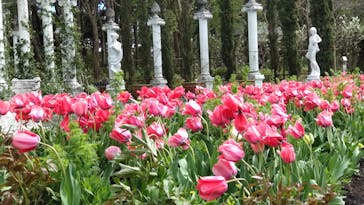 浜名湖花博2024に投稿された画像（2024/4/9）