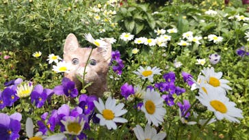 浜名湖花博2024に投稿された画像（2024/4/9）