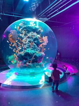 AQUARIUM × ART　atoaに投稿された画像（2024/4/9）