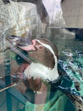 AQUARIUM × ART　atoaに投稿された画像（2024/4/9）