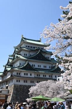 名古屋城に投稿された画像（2024/4/9）