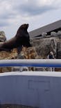 大分マリーンパレス水族館 「うみたまご」に投稿された画像（2024/4/9）