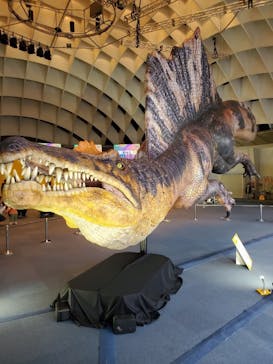 オダイバ恐竜博覧会2024 -福井から“ヤツラ”が新幹線でやってくる！-に投稿された画像（2024/4/10）